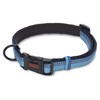 Halti Walking Adjustable Dog Collar (Blue)