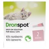 Dronspot Spot On Wormer for Small Cats