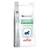 Royal Canin VCN Pediatric Starter Small Dog Dry 1.5kg