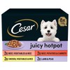 Cesar Juicy Hotpot Adult Wet Dog Food Trays
