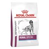 Royal Canin Renal Special Dry Food for Dogs