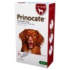 Prinocate 250mg/62.5mg Spot-On Solution for Large Dogs