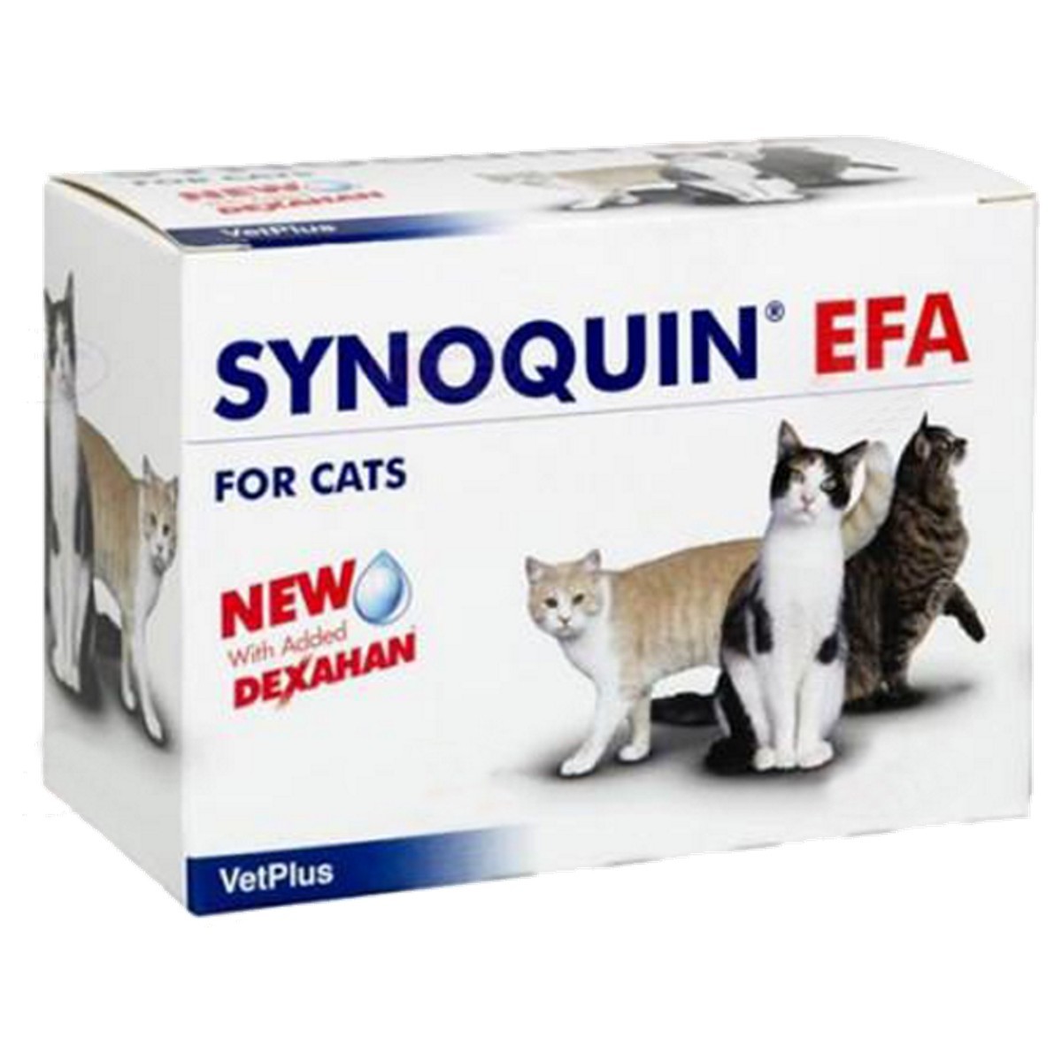 synoquin cat