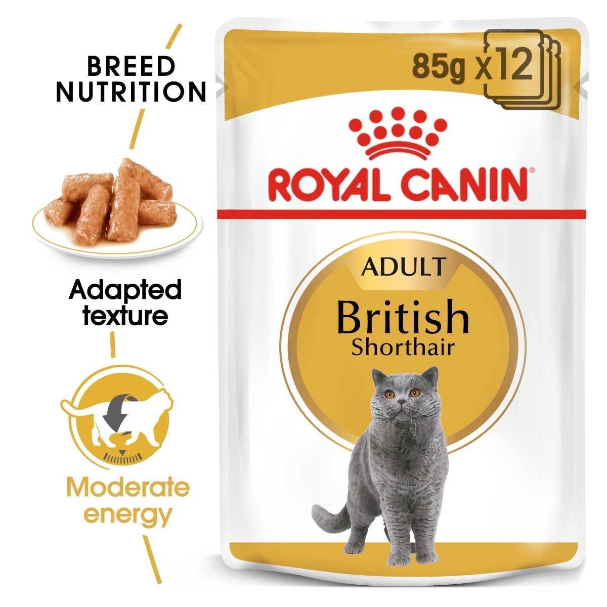 Royal Canin British Shorthair Adult Wet Cat Food in Gravy From