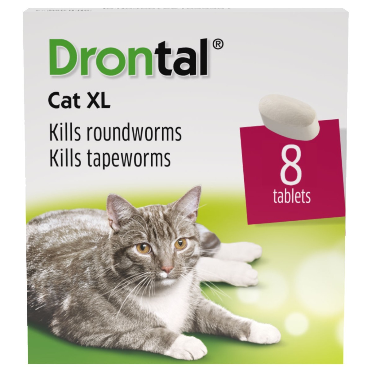 Drontal Cat Xl Worming Tablets From 2 09