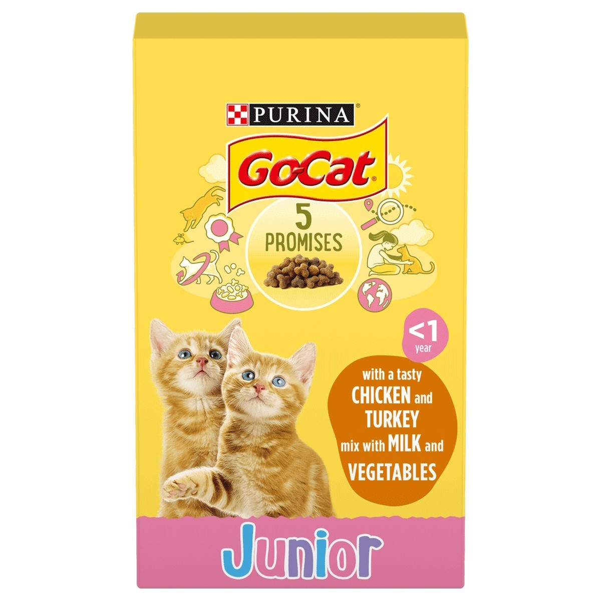 Kitten food outlet milk