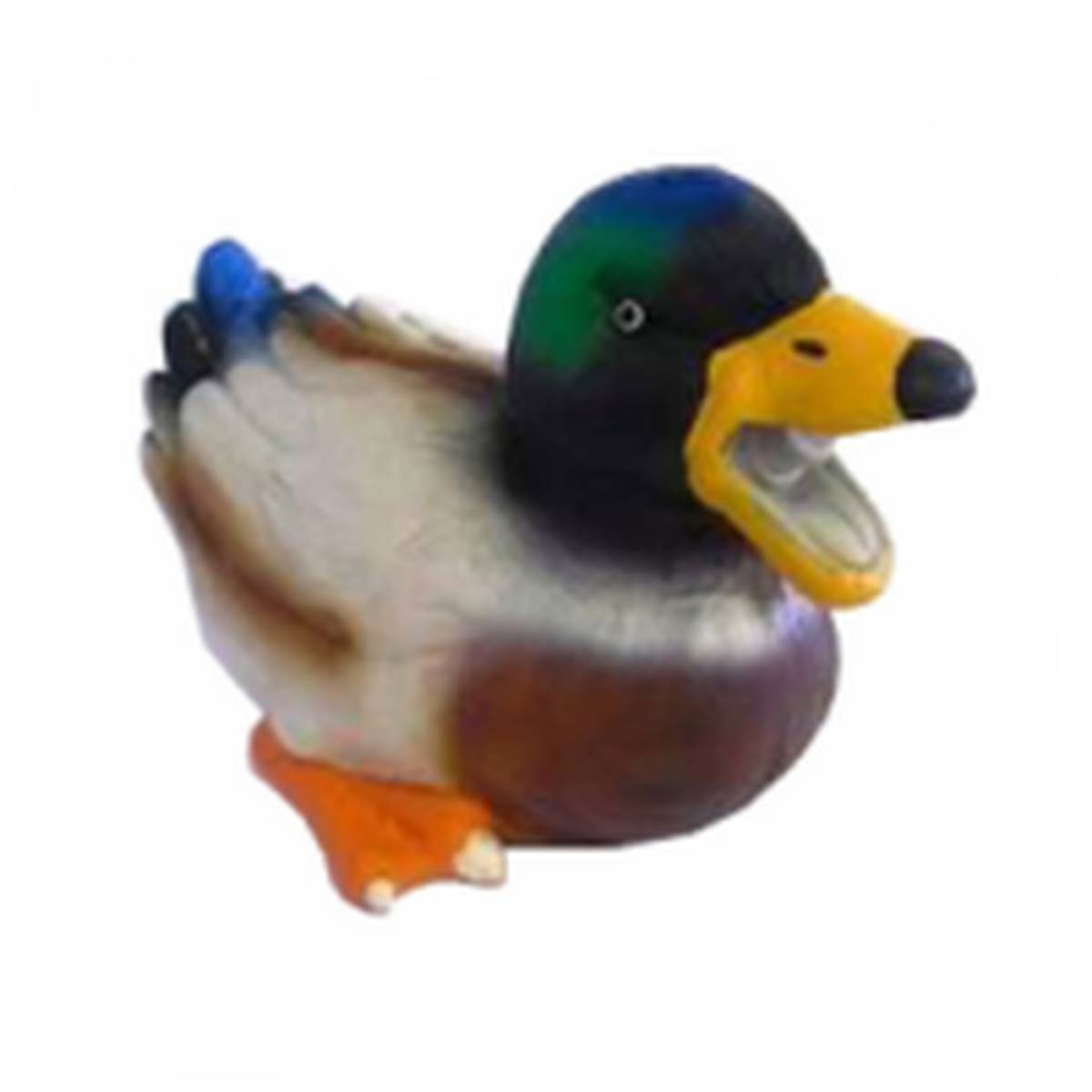 quacking duck toy