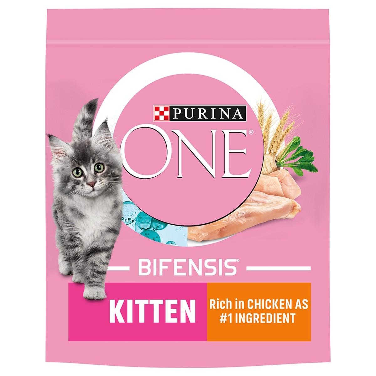 Purina ONE Kitten Dry Cat Food Chicken From 5.29