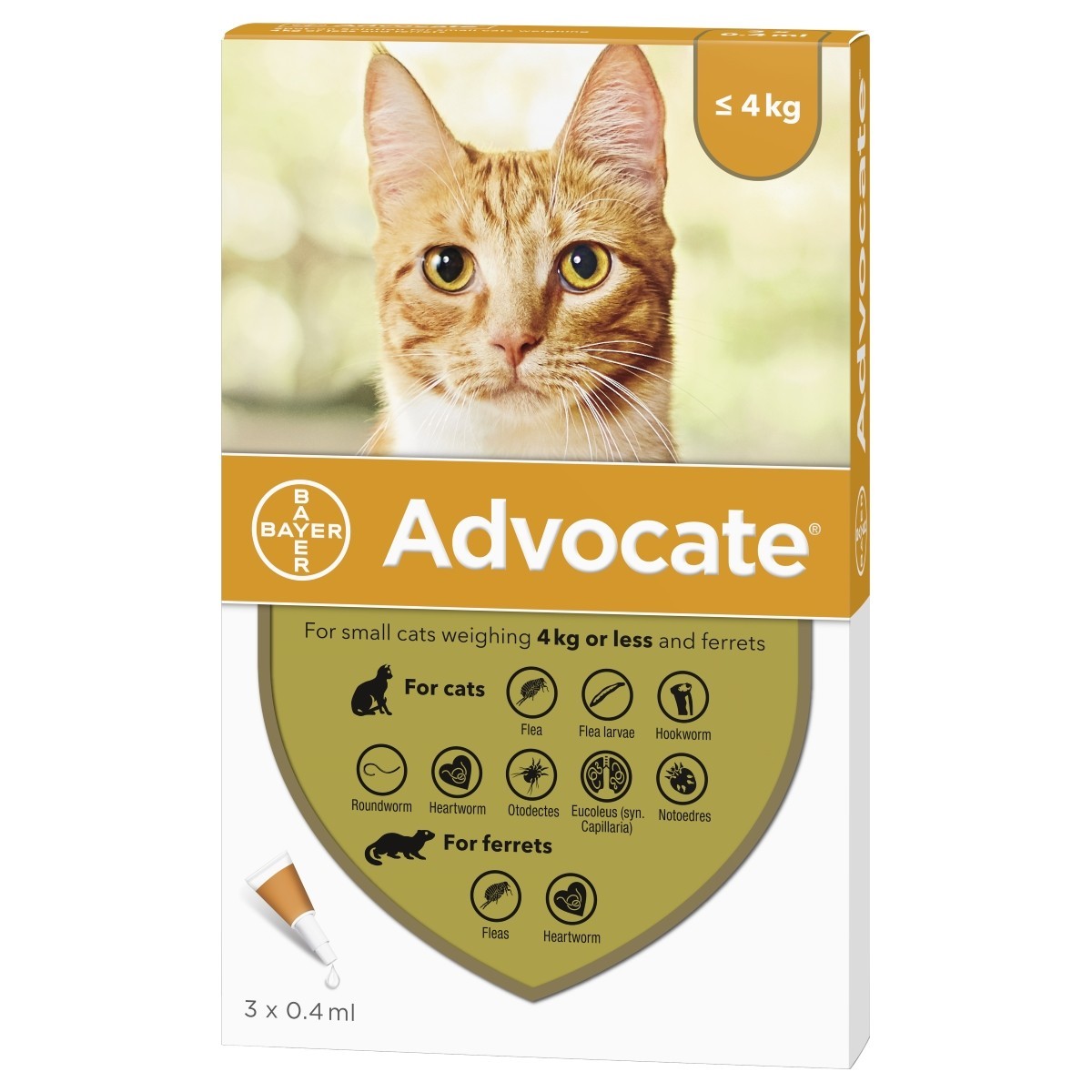 98  Advocate for cats without vet prescription for Living Room Wall Decor