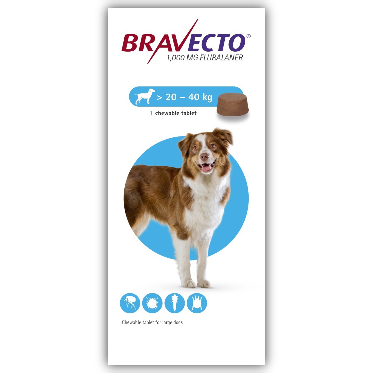 Bravecto 1000mg Chewable Tablets for 