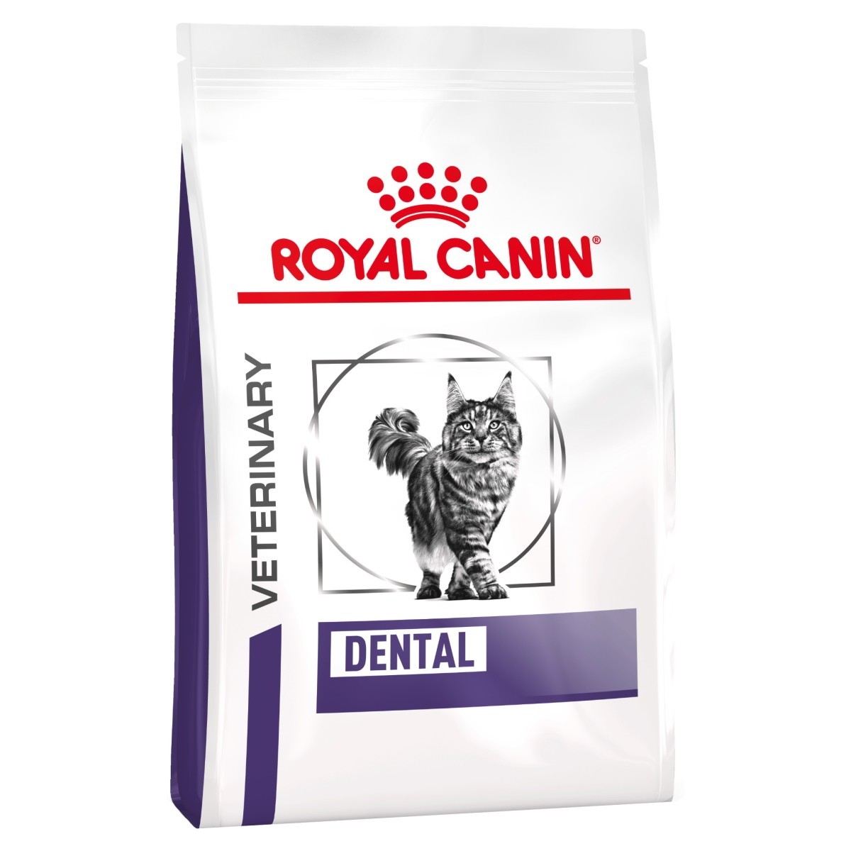 Correspondent bundel mengen Royal Canin Dental Dry Food for Cats - From £18.29