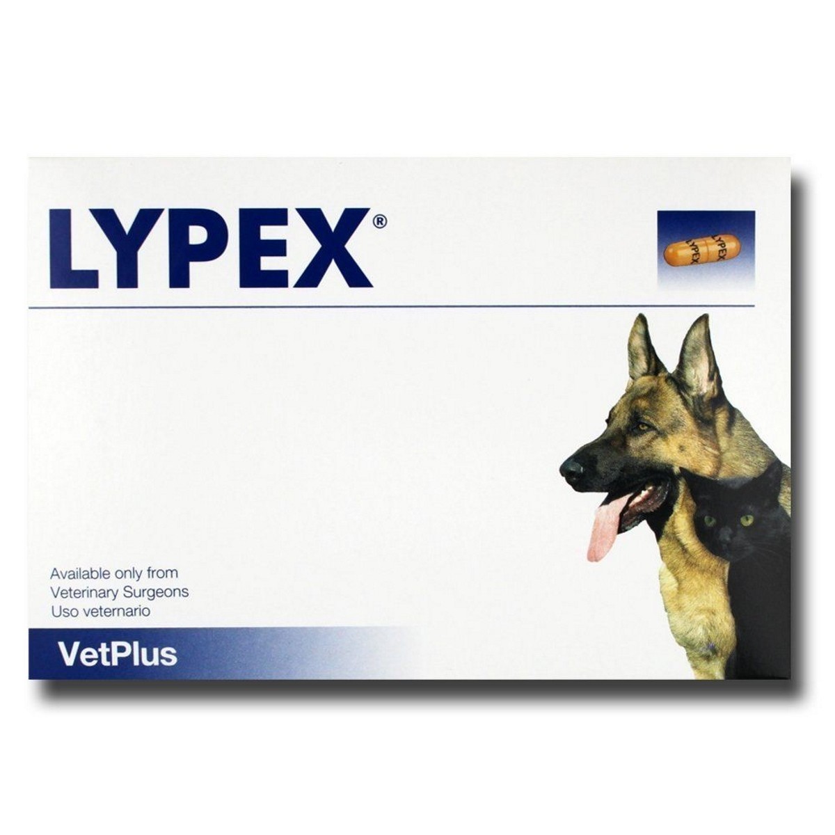 Enzyme supplements shop for dogs