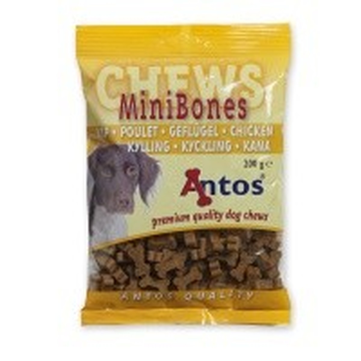 mini bones