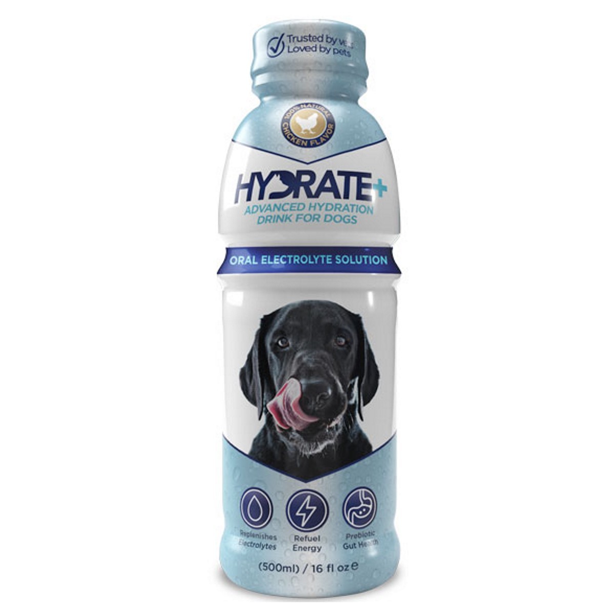 can you give a dog electrolytes