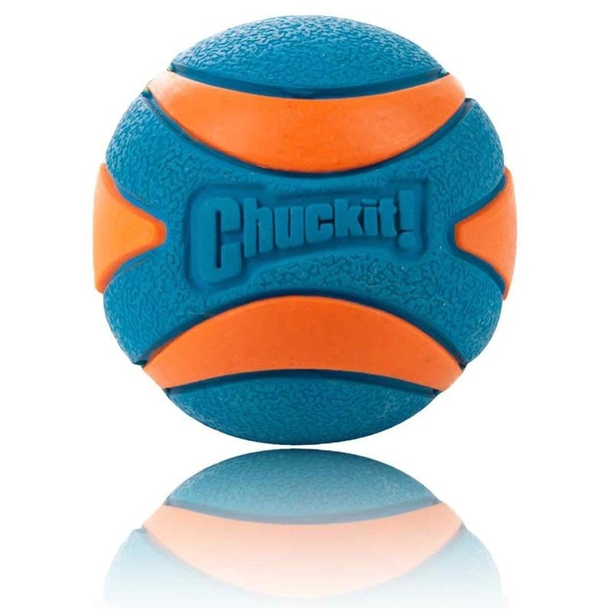 chuckit squeaker ball