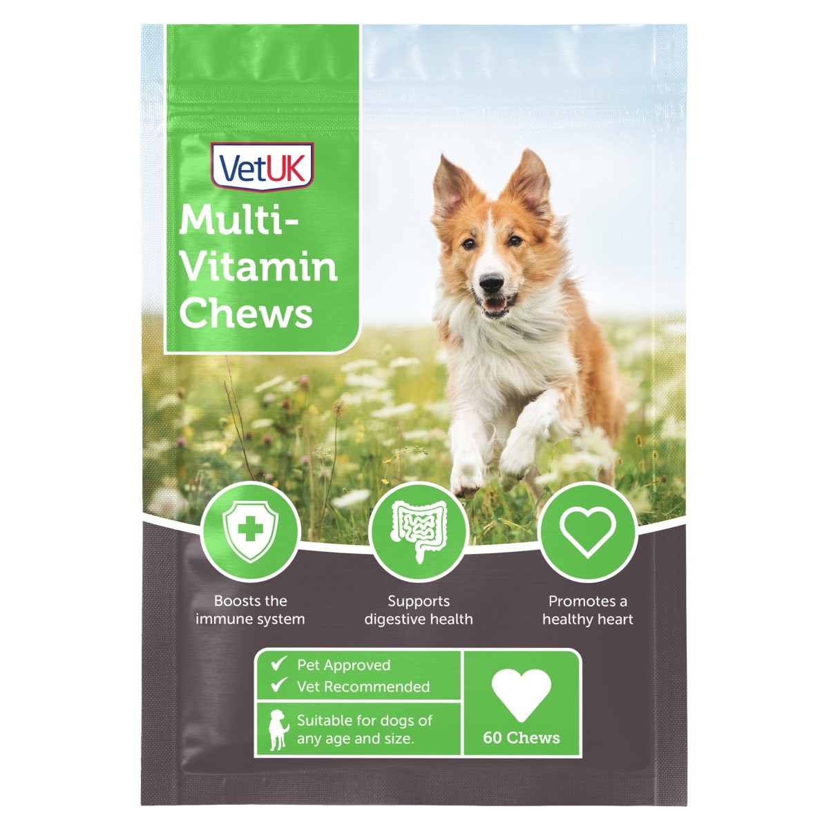 Multi vitamin outlet paste for dogs