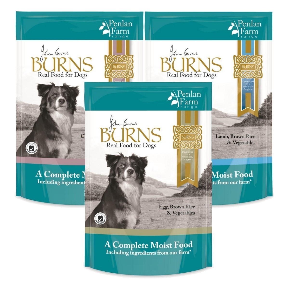 Burns Penlan Wet Dog Food Pouches Variety From 9 07