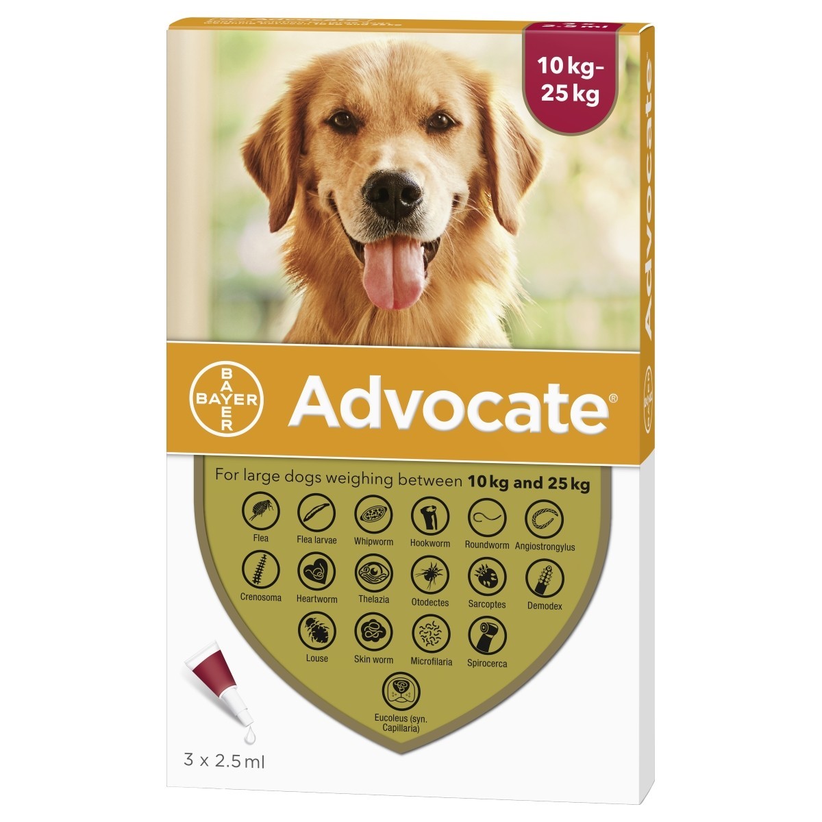 Advocate for Large Dogs - From £17.12