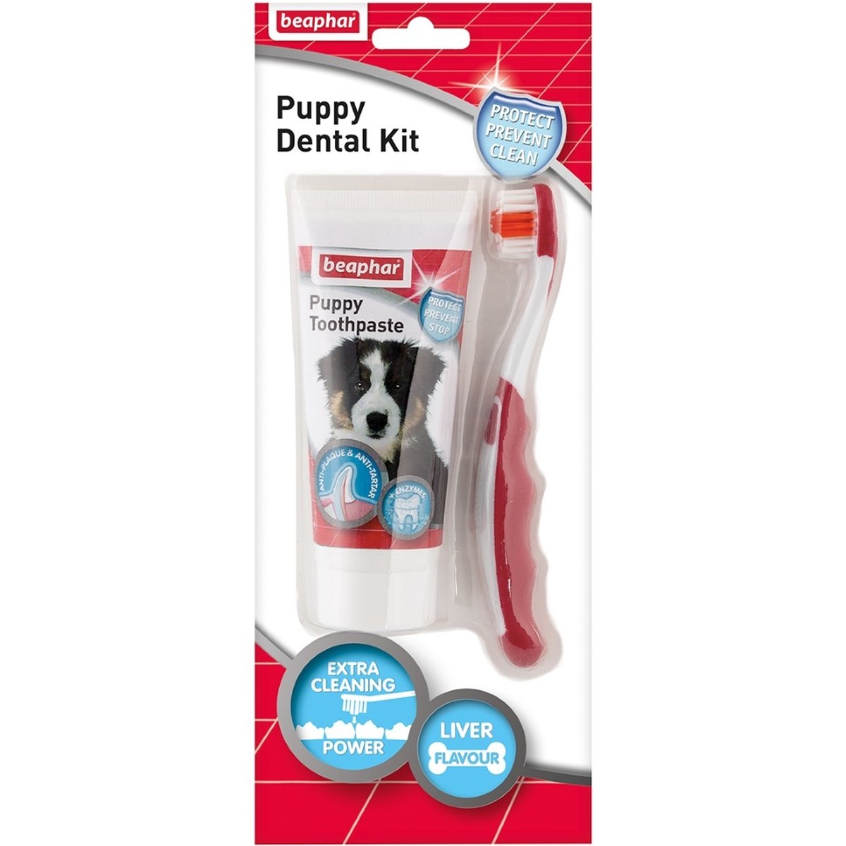 Puppy hot sale dental kit