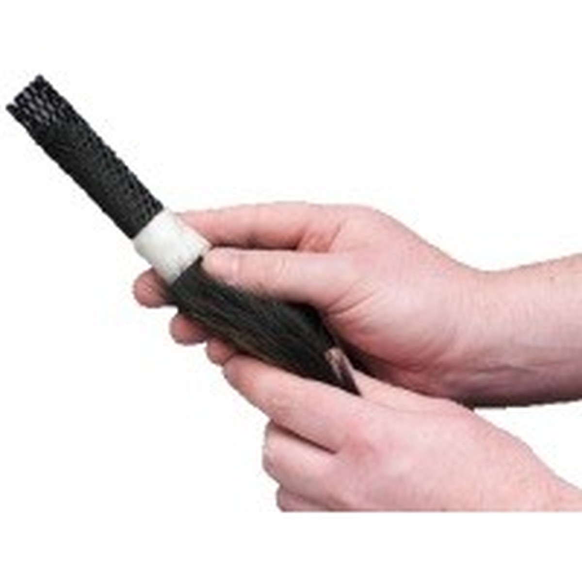 dog ends tail protector