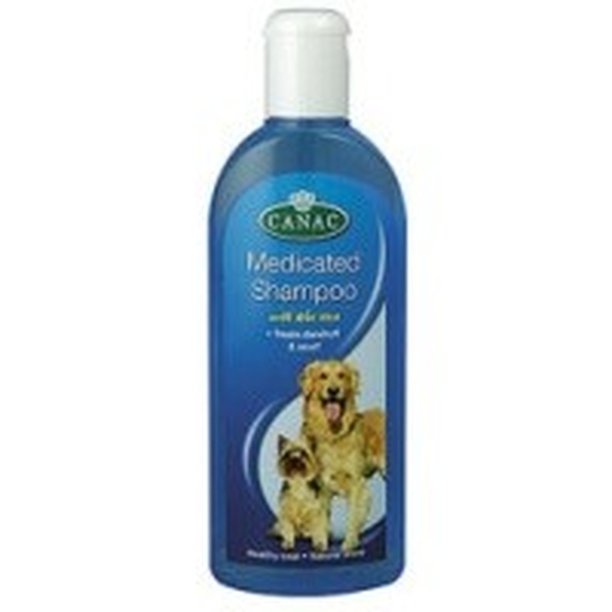 medicated dog shampoo uk