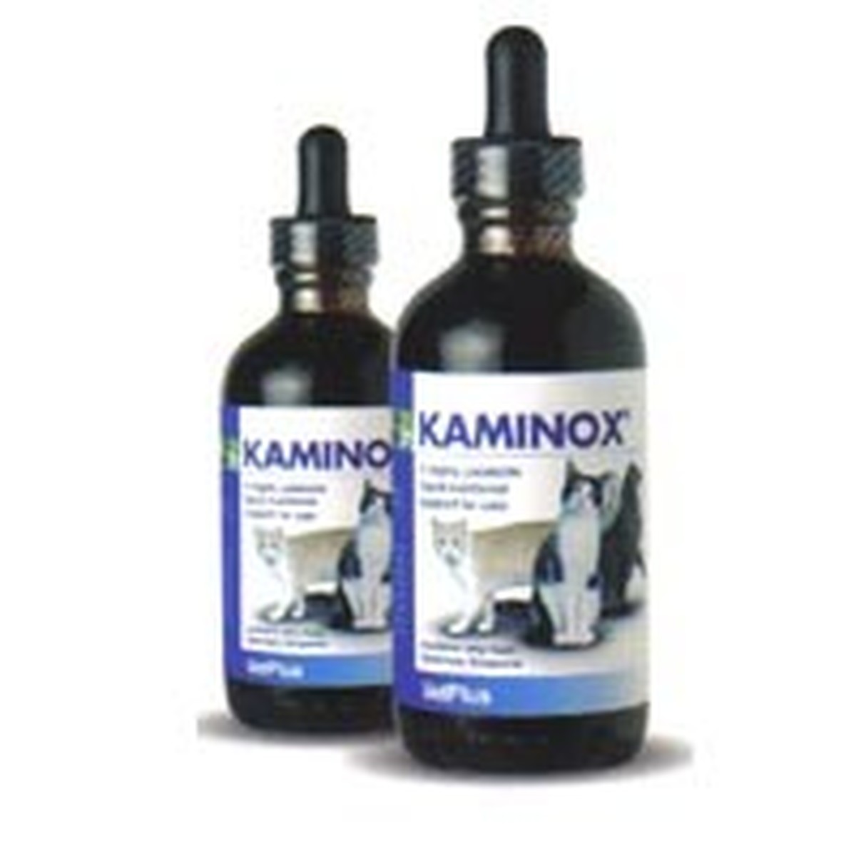 potassium supplement for cats