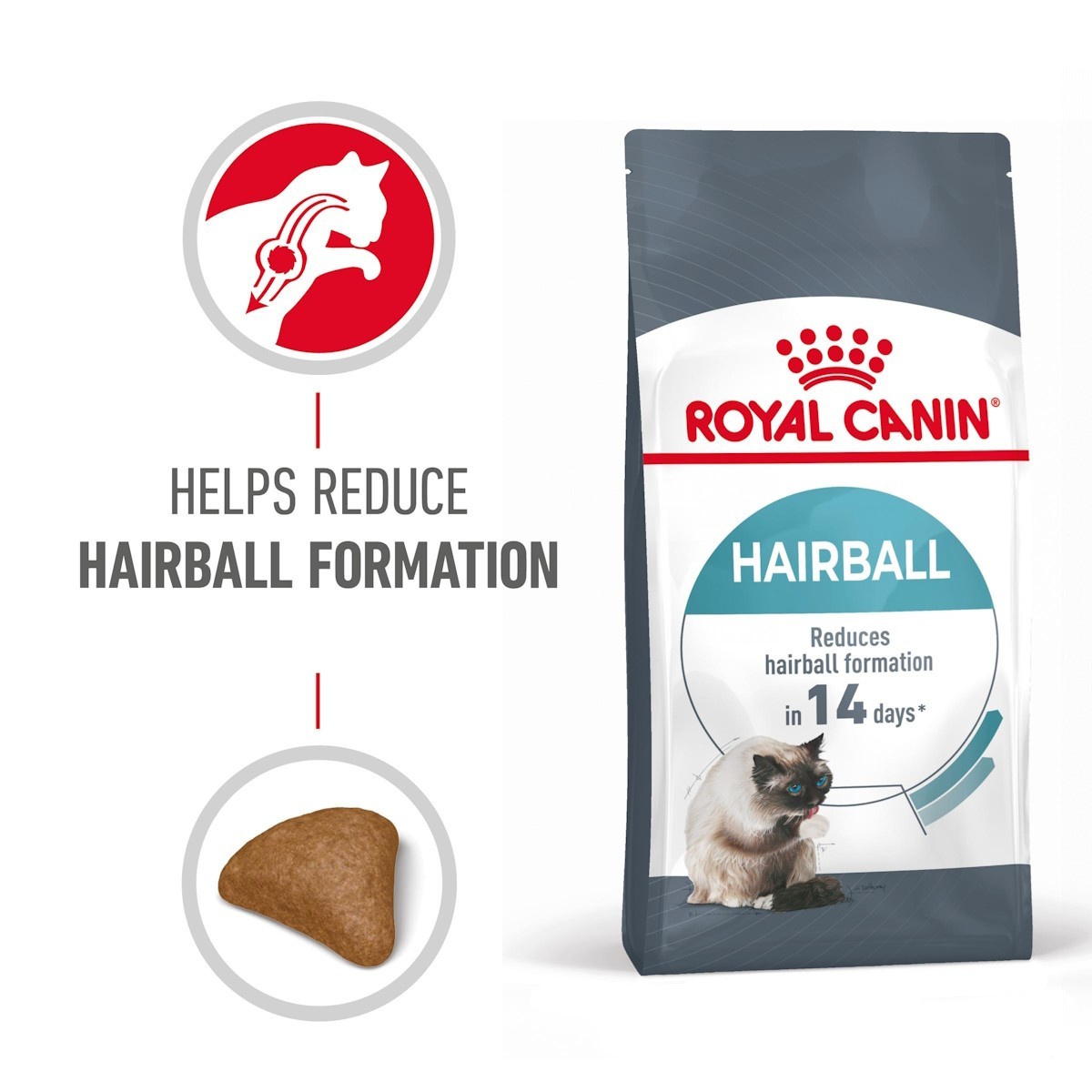 Royal canin cat outlet kibble