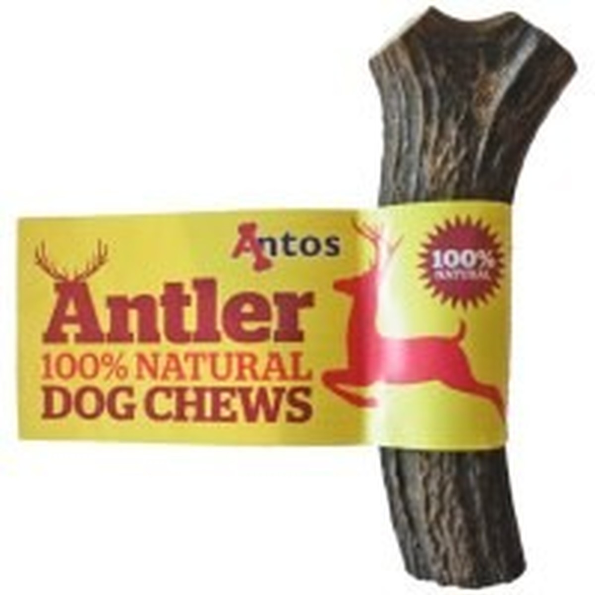 dogs chewing antlers