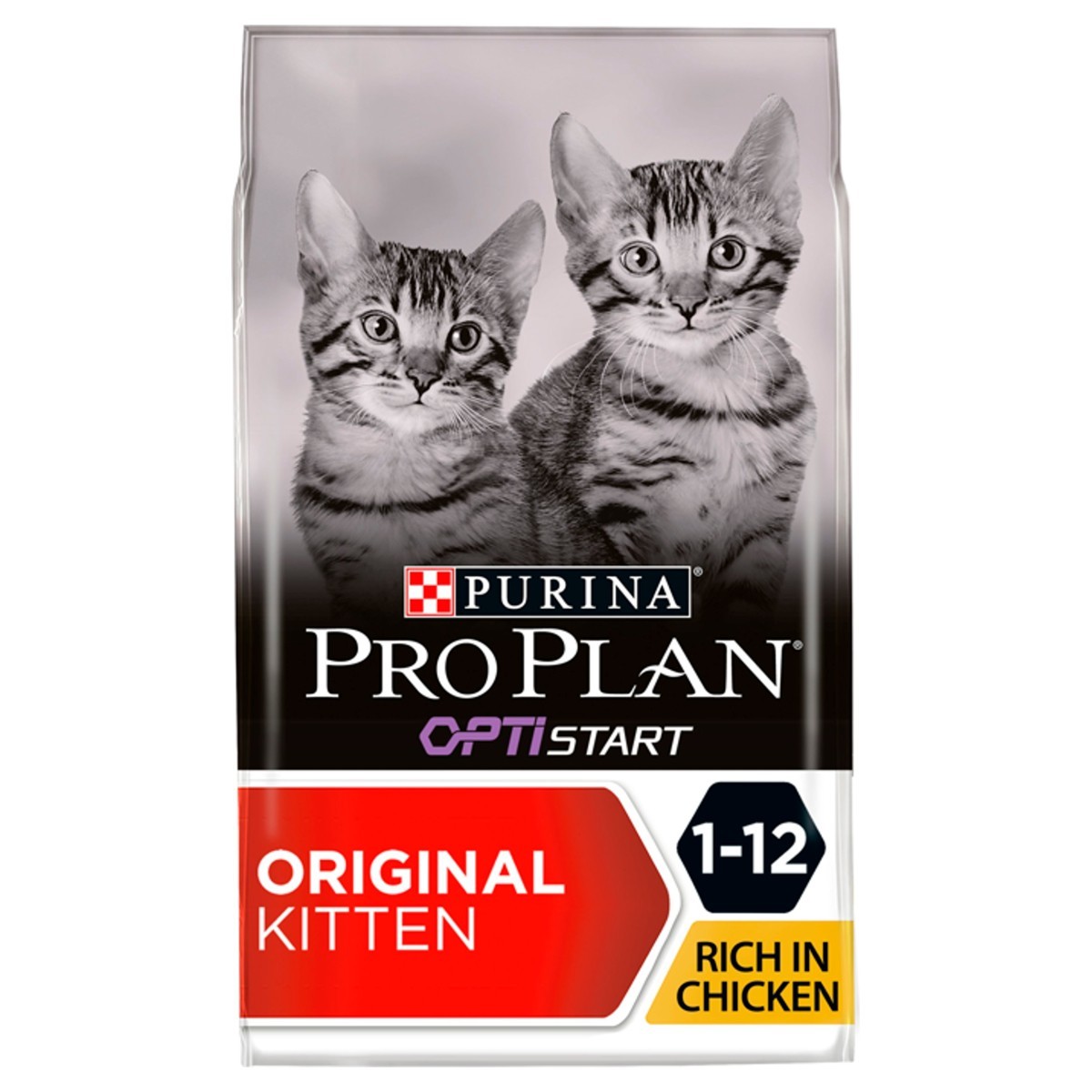 bulk kitten food