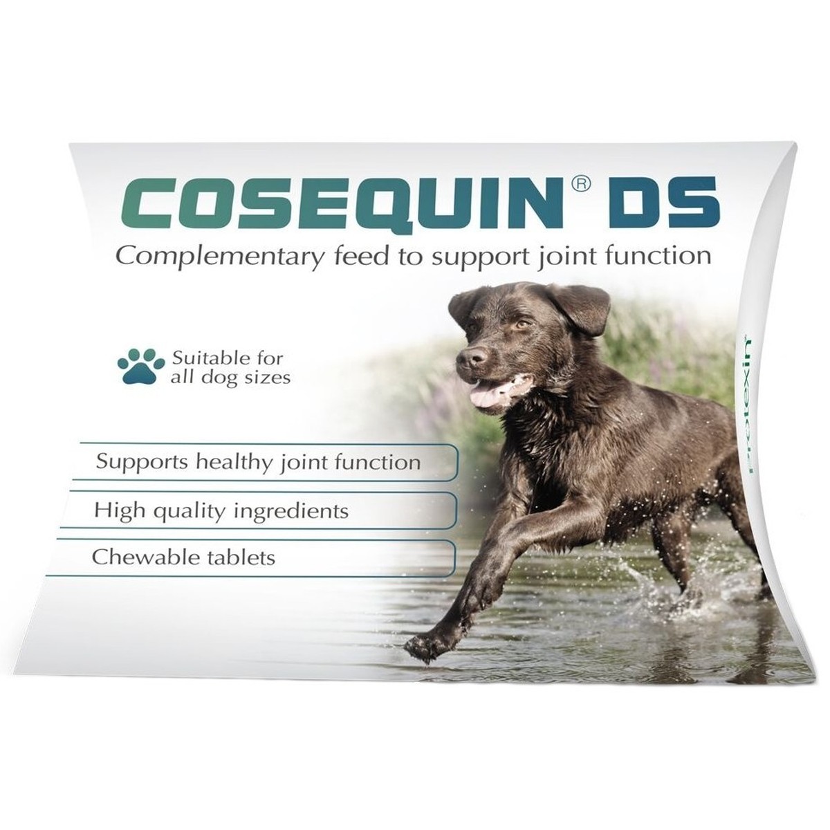 when should you start giving your dog cosequin