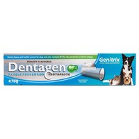 Dentagen Toothpaste 70g big image