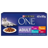 Purina ONE Adult Cat Wet Food Pouches (Mini Fillets in Gravy) big image