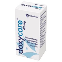 Doxycare 40mg Flavoured Tablets for Cats and Dogs big image
