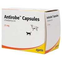 Antirobe 25mg Capsules for Cats and Dogs big image