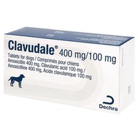 Clavudale 400mg/100mg Tablets for Dogs big image