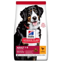 Hills Science Plan Adult 1-5 Large Breed Dry Dog Food (Chicken) big image