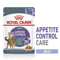 Royal Canin Appetite Control Care Adult Cat Food Pouches in Jelly big image