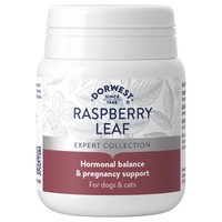 Dorwest Raspberry Leaf Tablets for Dogs and Cats (100 Tablets) big image