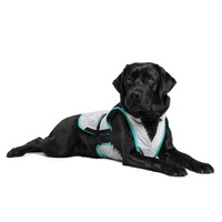 Suitical Dry Cooling Vest for Dogs big image