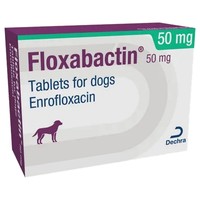 Floxabactin 50mg Tablets for Dogs big image