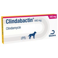 Clindabactin 440mg Chewable Tablets for Dogs big image