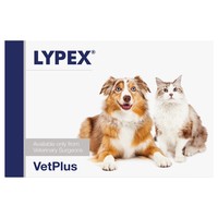 Lypex Capsules for Cats & Dogs (Pack of 60) big image