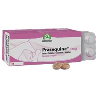 Prasequine 1mg Tablets for Horses big image