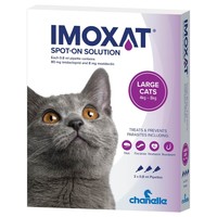 Imoxat 80/8mg Spot-On Solution for Large Cats big image