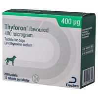 Thyforon 400mcg Flavoured Tablets for Dogs big image