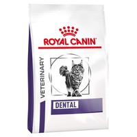 Royal Canin Dental Dry Food for Cats big image