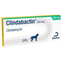 Clindabactin 220mg Chewable Tablets for Dogs big image