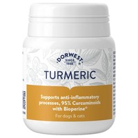 Dorwest Turmeric Tablets for Dogs and Cats (100 Tablets) big image