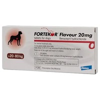 Fortekor 20mg Flavoured Tablets for Dogs big image