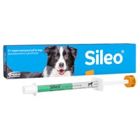 Sileo 0.1mg/ml Oromucosal Gel for Dogs big image